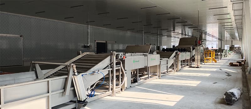 images/1706082927877sweet potato processing machine.jpg